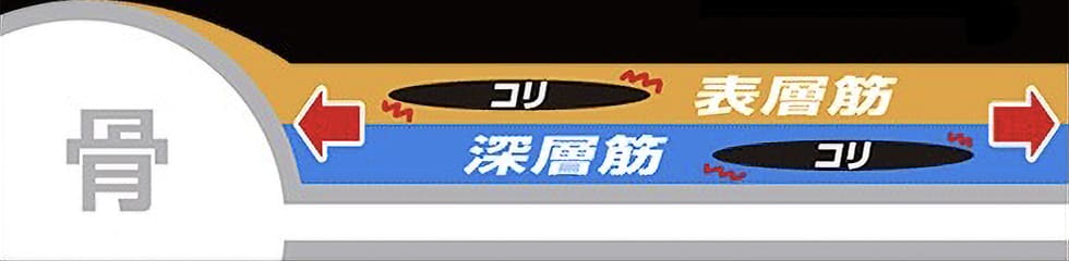 表層筋と深層筋のコリをほぐす